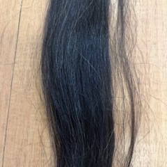 イリガン　の画像