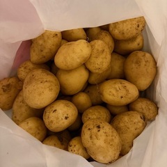 無農薬じゃがいもの画像