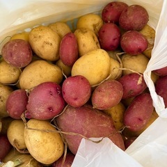 無農薬じゃがいもの画像