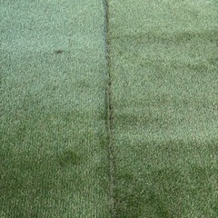 人工芝 ロールの画像