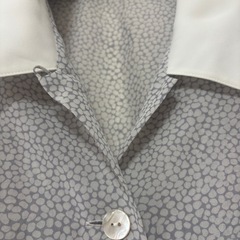 上品 襟付きブラウス シースルー  ユキエハナイの画像