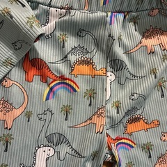 恐竜 セトア 100の画像