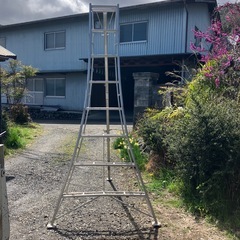 240cm 2尺　8段　アルミ　ハシゴ　梯子　脚立　の画像