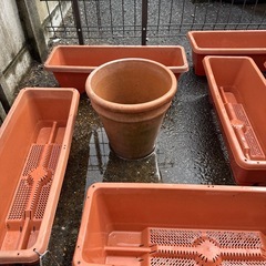 鉢　ガーデニングの画像