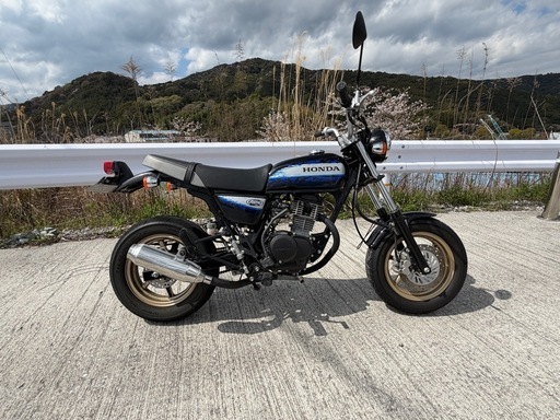 HONDA エイプ100 タイプD 綺麗です！