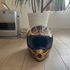 トロイリーデザインヘルメットの画像