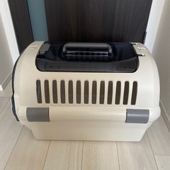 猫　　キャリーケースの画像