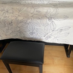 CASIO電子ピアノの画像