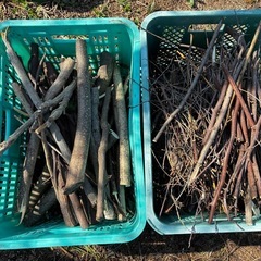 薪、小枝、丸太の画像