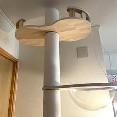 キャットタワー
の画像