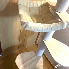 キャットタワー
の画像