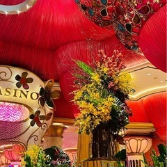 🌴旅行好きさん集まれ✈️✨