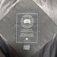 カナダグースの画像