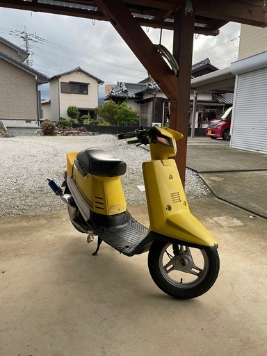 ペリカンジョグ