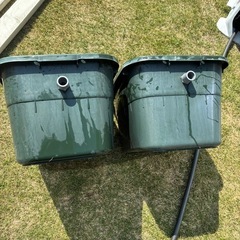 【決まりました】ジャンボタライ２個の画像