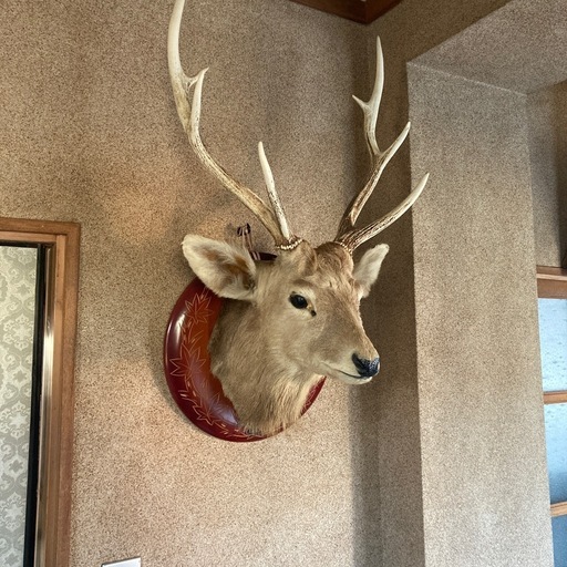 シカの壁掛け