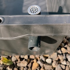 メダカ飼育ケース　メダカ、金魚　
ビオトープの画像