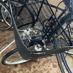 ママチャリ 自転車　nlyneの画像