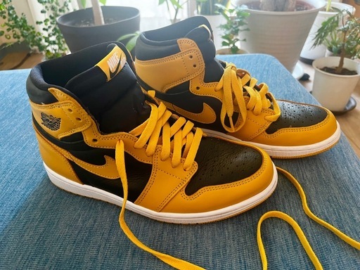 靴/バッグ Nike Air Jordan