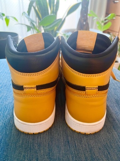 Nike Air Jordan 