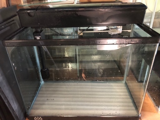 水槽　　ハイタイプ　上部濾過器セット