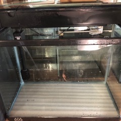 水槽　ADA水槽　上部濾過器セットの画像