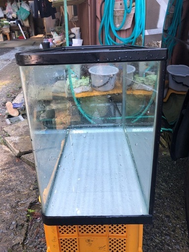 水槽　　ハイタイプ　上部濾過器セット