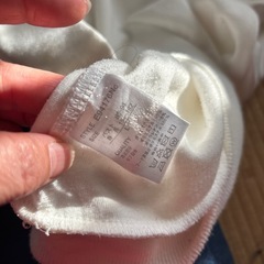 恐竜の刺繍入り薄手のトレーナーの画像