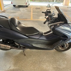 マジェスティ4d9の画像