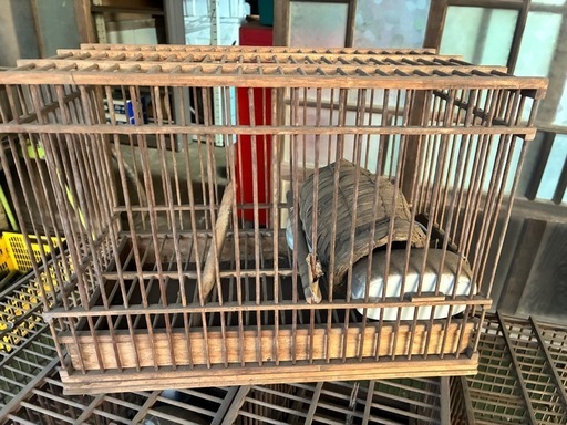 様々なサイズの木製鳥籠