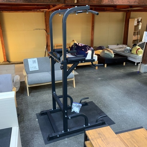 ステディ懸垂機