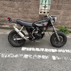 HONDA エイプ50レーサー仕様の画像