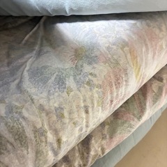 🐒💤  布団の画像