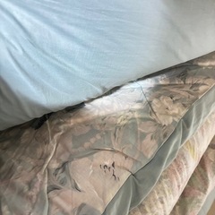 🐒💤  布団の画像