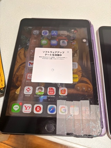iPad mini5 64GB Cellular 画面割れ タッチ正常 動作OK ジャンク
