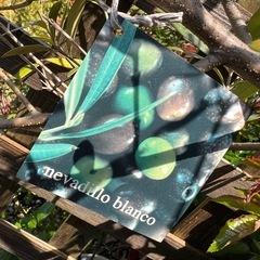 オリーブの画像