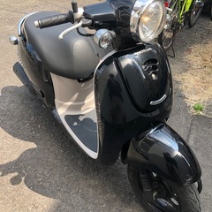 ホンダ ジョルノ AF70 実動 原付バイク 
リアタイヤ新品  動画あり 広島市中区の画像