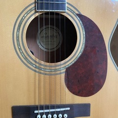 【受け取り者決定】ギターの画像