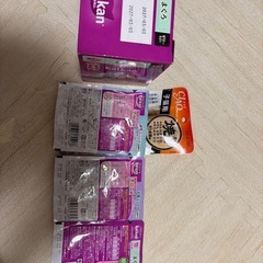 子猫　カルカンウェットフード、チャオの画像