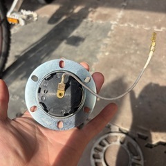 ホーンボタンの画像