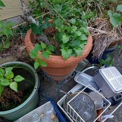 【無料】立派な石灯籠・大型のツボ、まとめて引き取れる方（積み込みお手伝いします）の画像