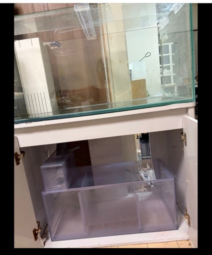 海水魚　90センチ オーバーフロー水槽
