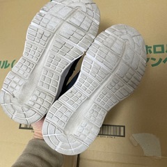 ワークマン　スニーカーの画像