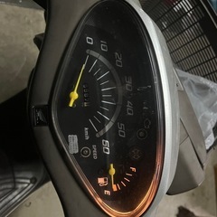 ディオチェスタの画像