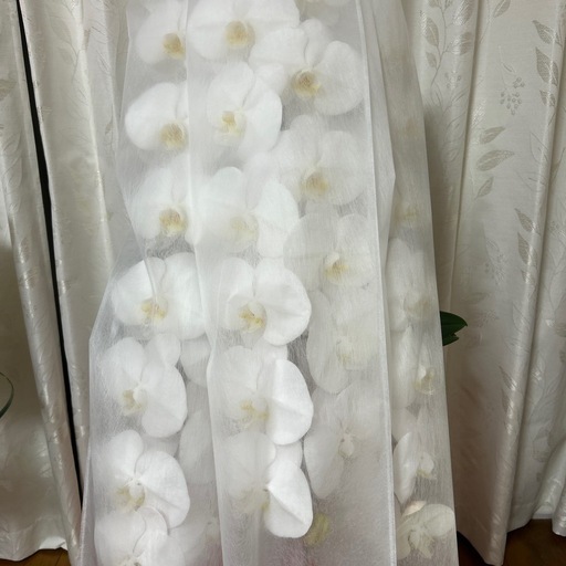 新品 胡蝶蘭（白）お譲りします
