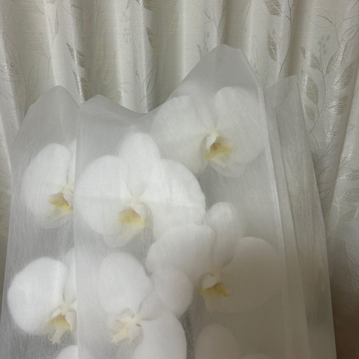 新品 胡蝶蘭（白）お譲りします
