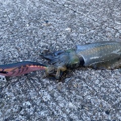 釣りしてる女性の方いませんか？