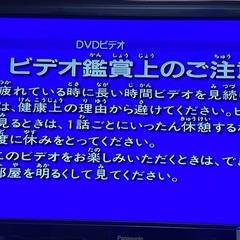 パイオニア DVDプレイヤー DV-310の画像