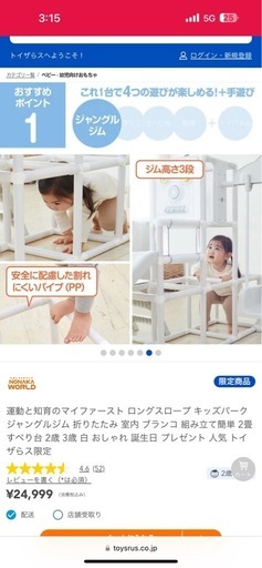 野中製作所 トイザらス 家庭用滑り台