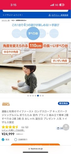 野中製作所 トイザらス 家庭用滑り台